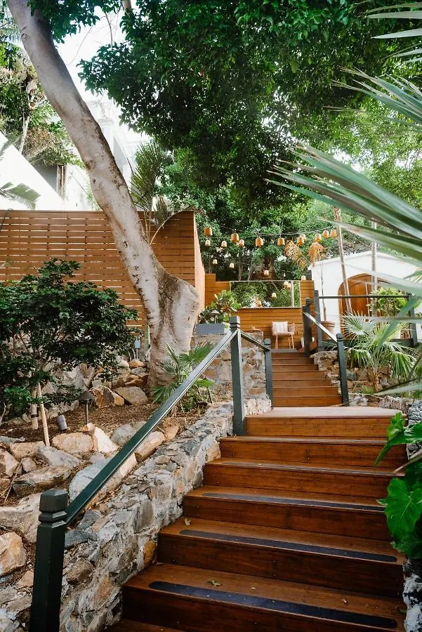 ***  The Pink Palm Hotel - Adults Only Charlotte Amalie Americké Panenské ostrovy